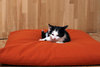 Animal pillow Kiki S 40x30cm